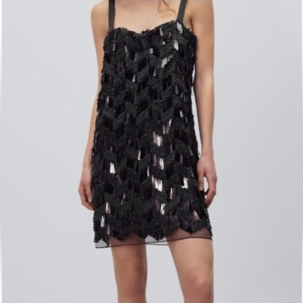 Zara Black Sequin Fringe Dress